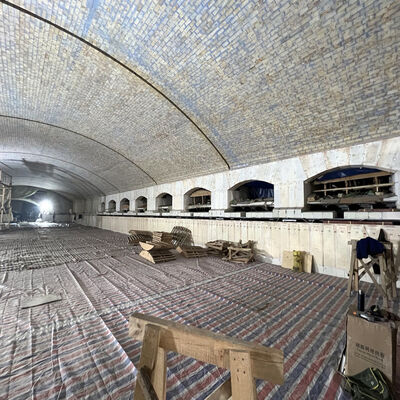 Comprar Línea de fabricación de vidrio plano de 350 TPD Equipo de formación de baño de estaño + Horno de recocido Fabricación en línea